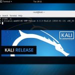 How to Install Kali Linux