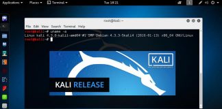 How to Install Kali Linux