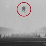 10 inventions which become the reason of death of their inventors